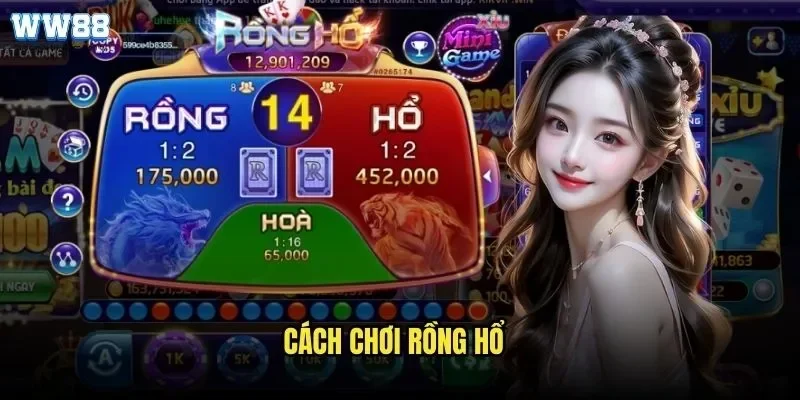 Cách Chơi Rồng Hổ