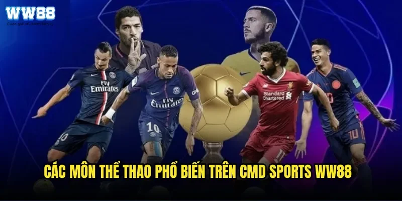 Các Môn Thể Thao Phổ Biến Trên CMD Sports